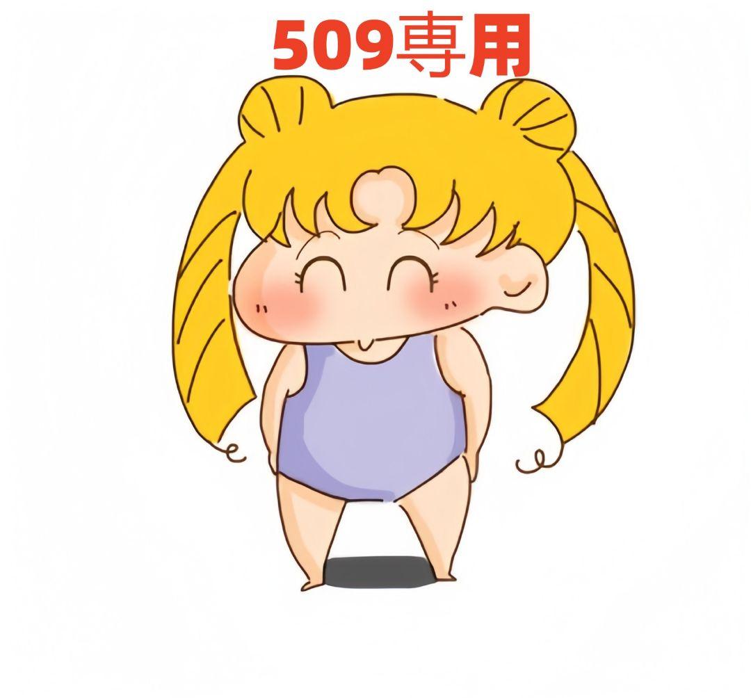 509専用