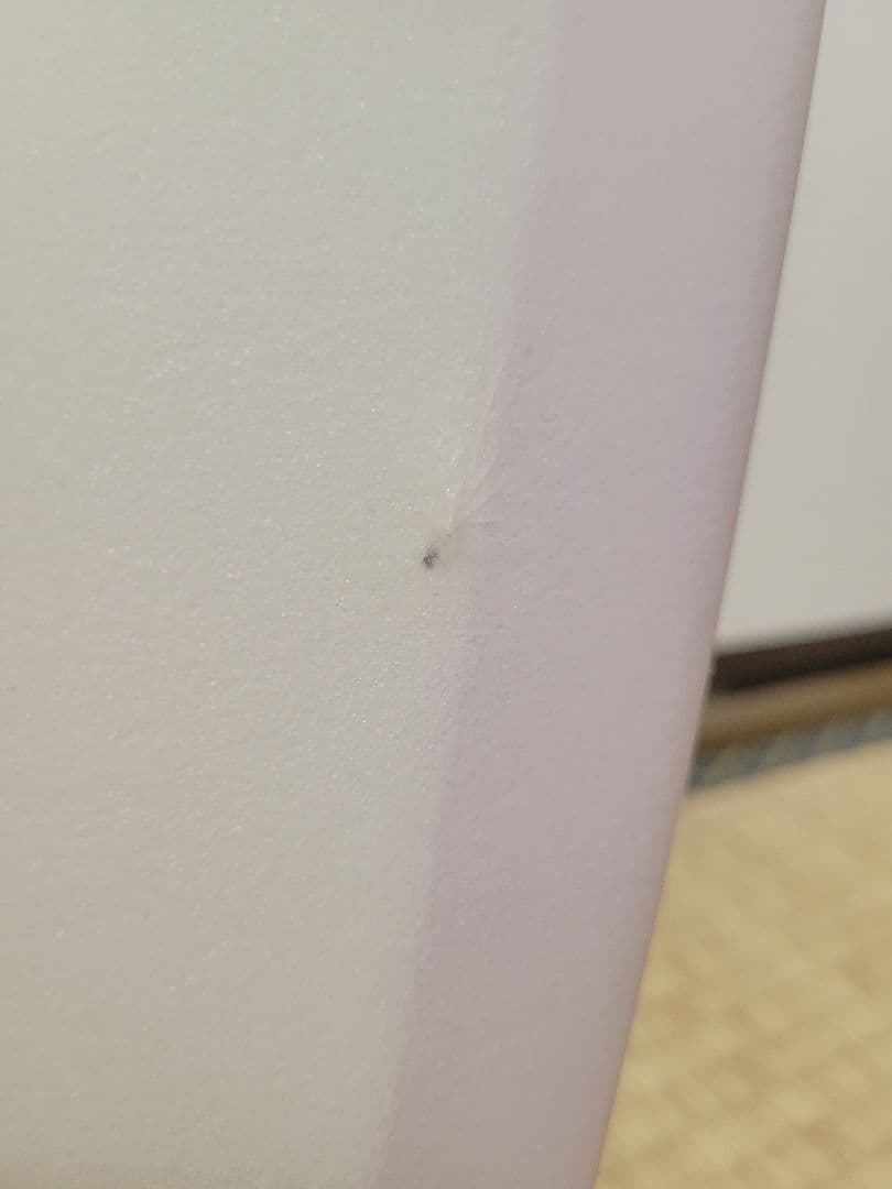 【静岡中部/手渡し限定】RYAN BURCH スタンダードフィッシュ5.7　薄紫