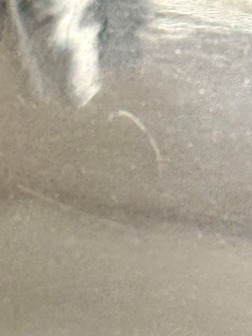 ラルフローレン　シルバートレー　長方形トレー 約54cm✖️23cm