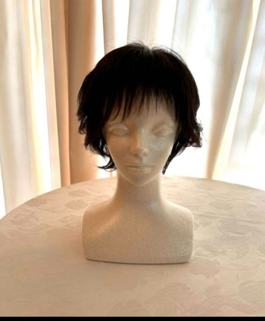 Kabu320様専用です。アクアドール 揺れるマシェリショート 人毛MIX