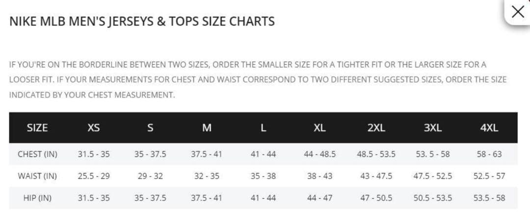刺繍ワッペンロゴ MLB公式 大谷翔平 ユニフォーム ドジャース XLサイズ