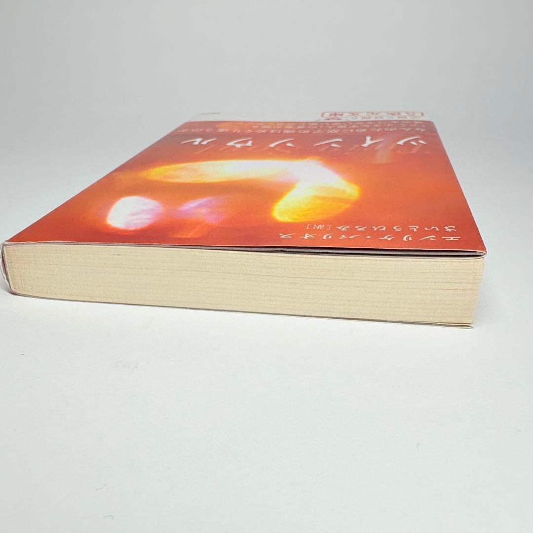 【2冊】アミ小さな宇宙人 ツインソウル エンリケ・バリオス 文庫版 さくらももこ