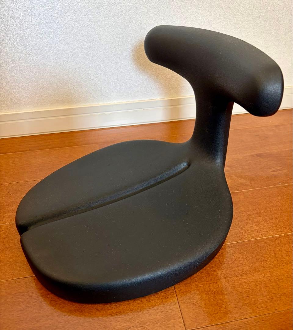 ayur chair アーユルチェアー ブラック
