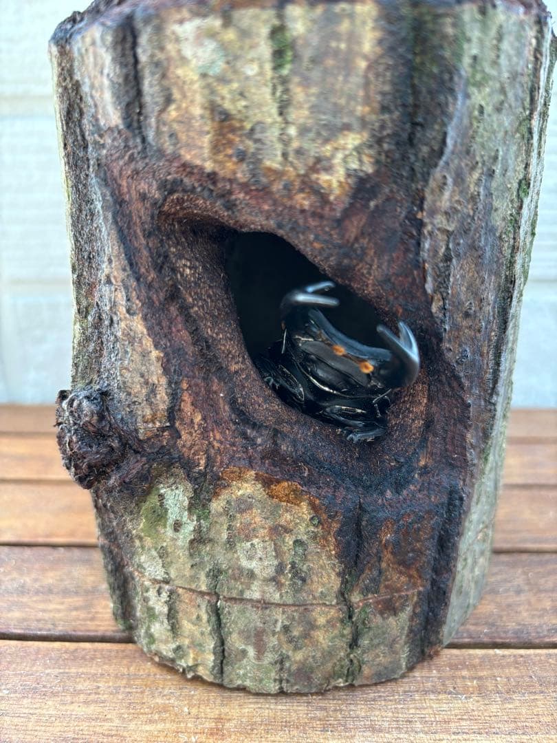 クワガタ隠れ家、クワリウム、樹洞、うろ、昆虫えさ台、登り木