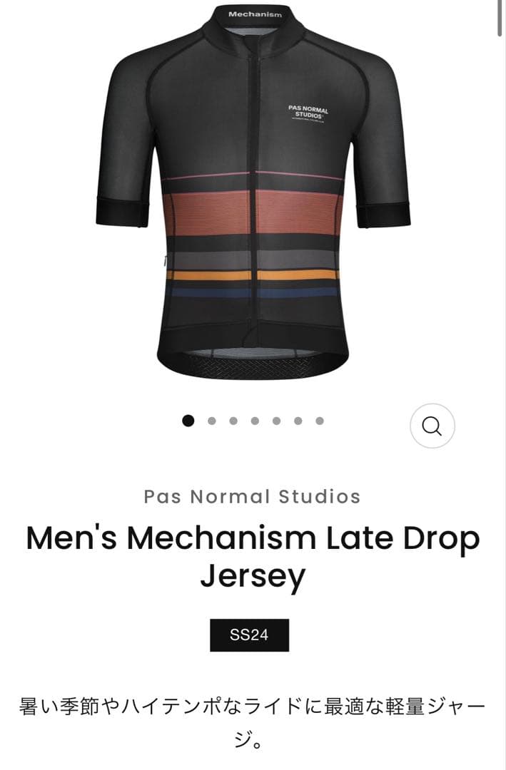 PAS NORMAL STUDIOS サイクルジャージ L