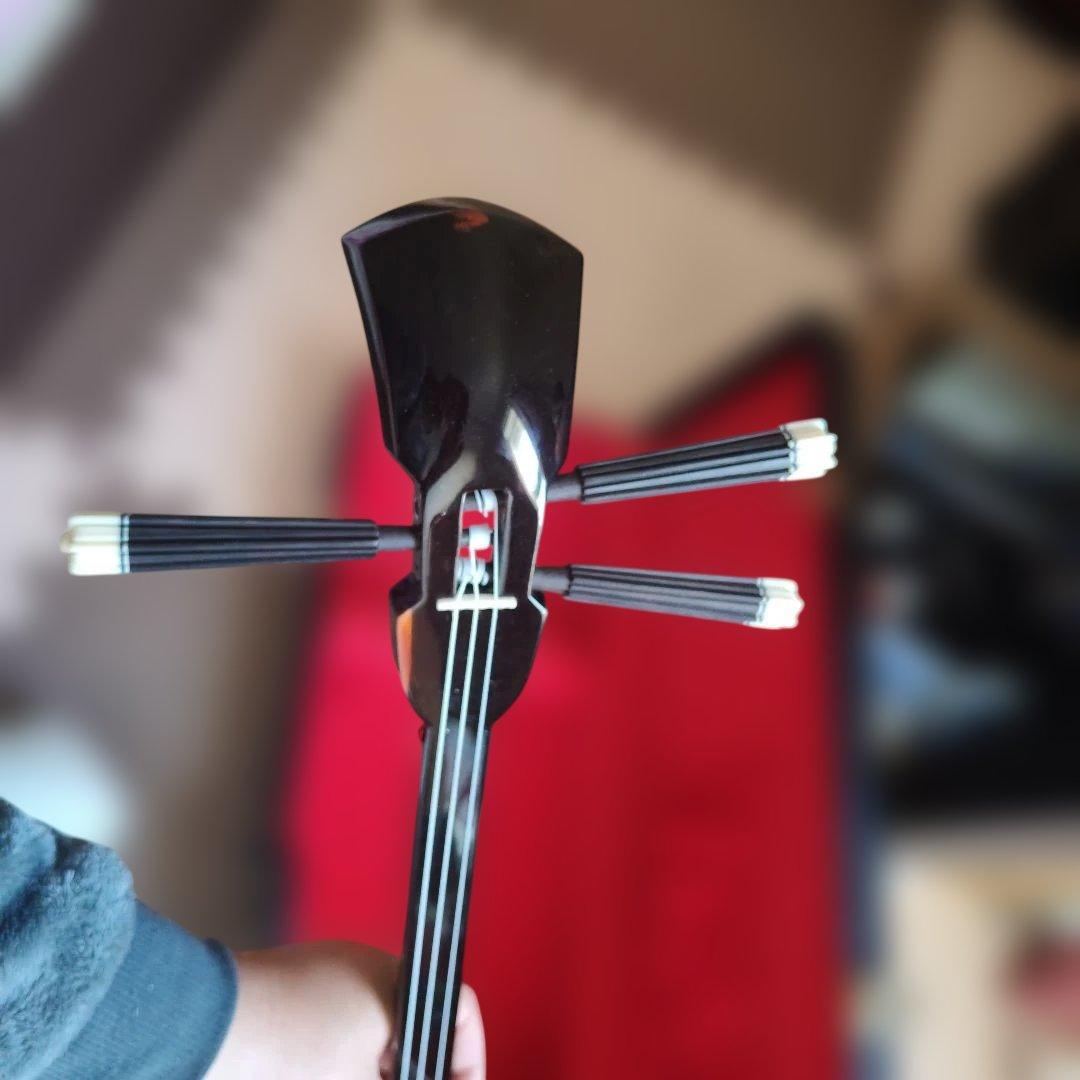 三線 本体 蛇の皮 ケース付き - メルカリ