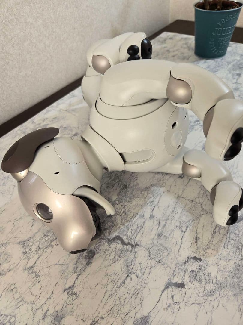 SONY　aibo ERS -1000 美品