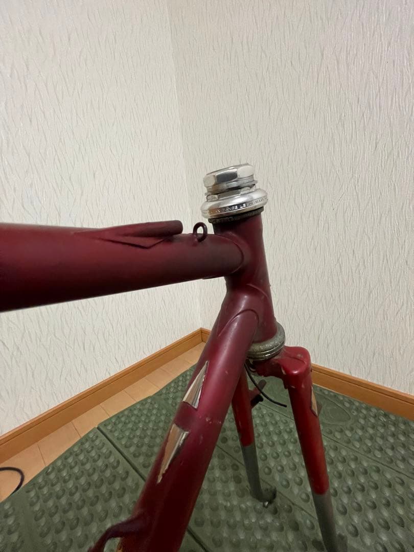 ヒラメ　ランドナー