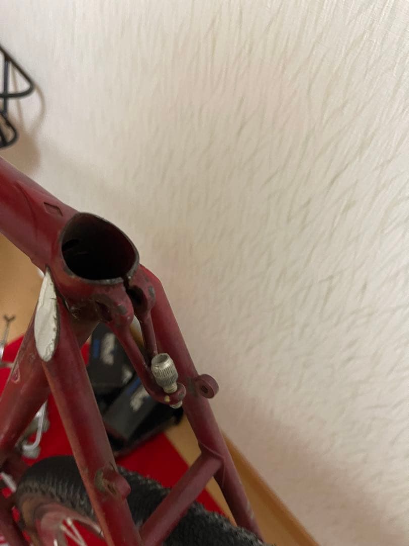 ヒラメ　ランドナー