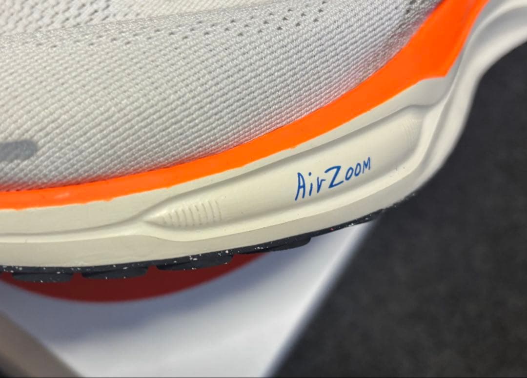 Nike ペガサス 41 ブループリント 極美品【28.0cm】Pegasus