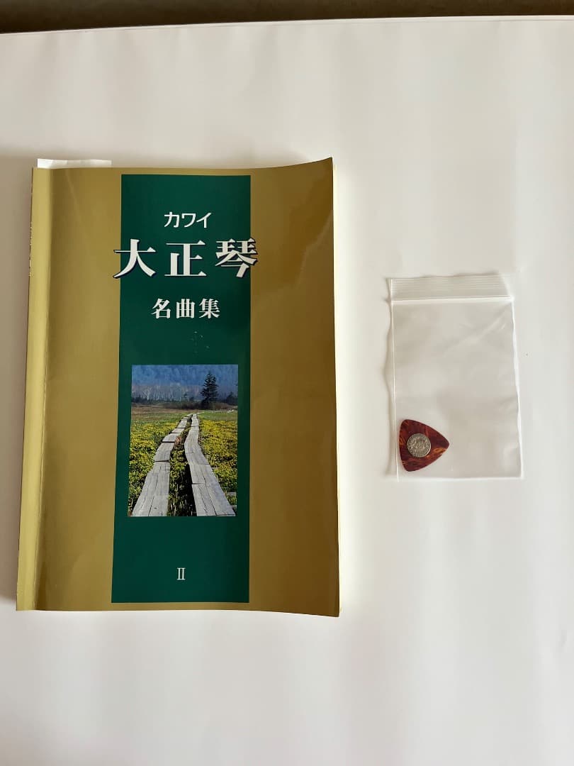 大正琴　桂　SUZUKI TAS-11