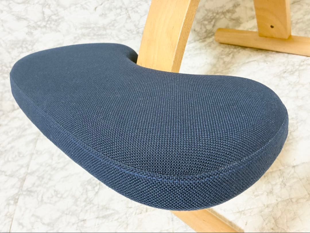 【美品 ばらさず発送】サカモトハウス バランスイージー ネイビー 日本製