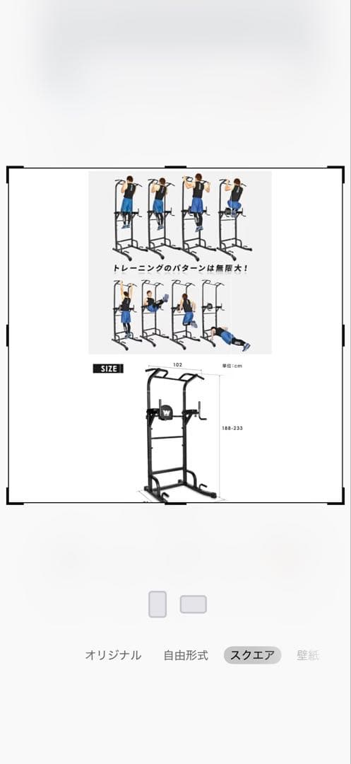 BARWING バーウィング ぶら下がり健康器 高さ調整 4WAY懸垂バー