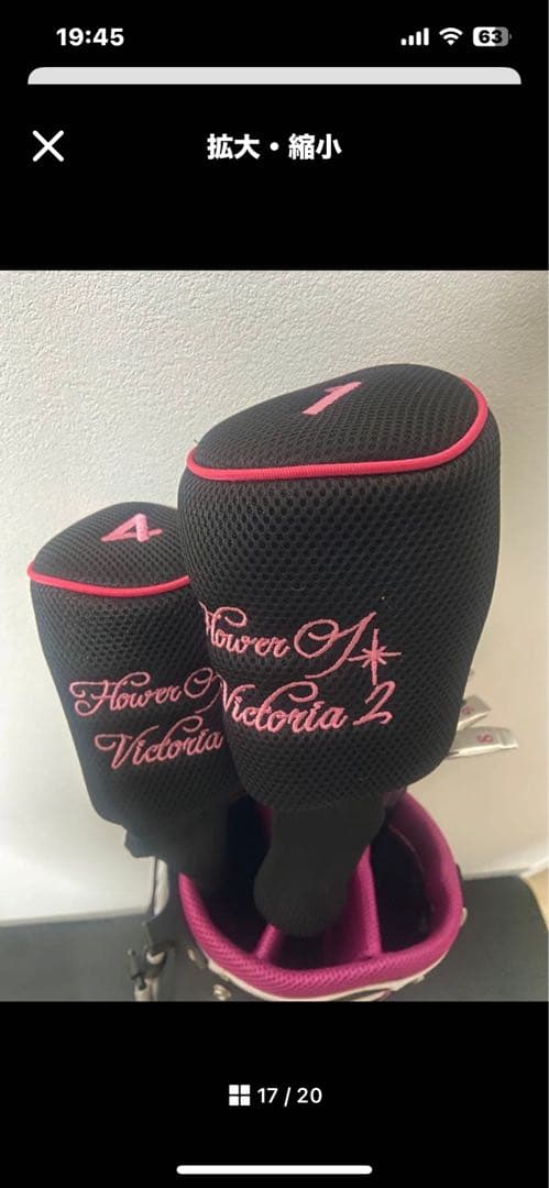 レディースクラブセット8本　ワールドイーグルFL-01 V2 　※SALE開催中