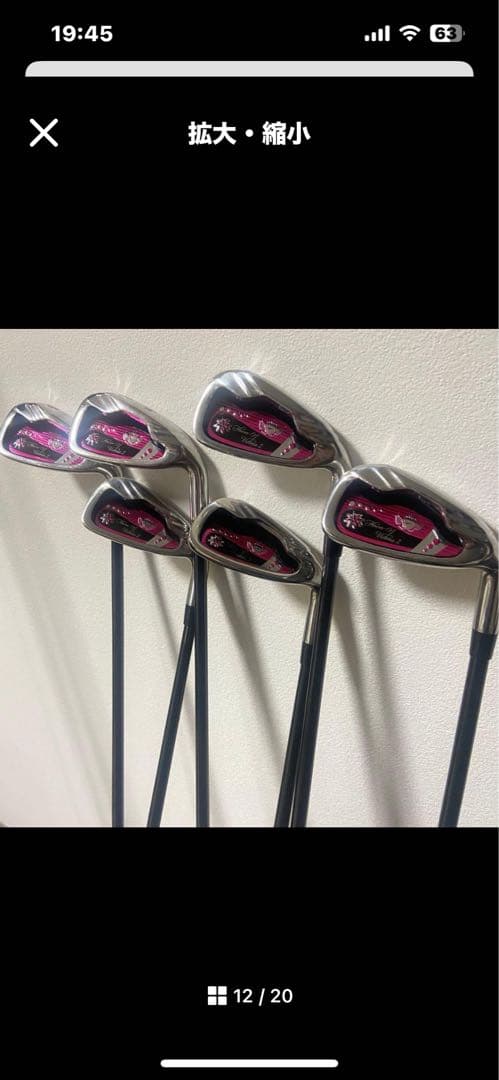 レディースクラブセット8本　ワールドイーグルFL-01 V2 　※SALE開催中