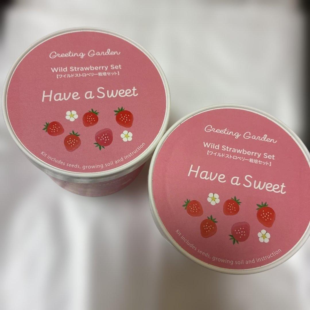 Greeting Garden Wild Strawberry Set ロフト - メルカリ