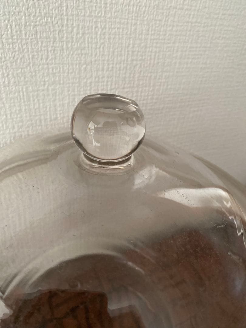 ガラスキャニスター デシケーター ガラス瓶　金魚鉢　水槽