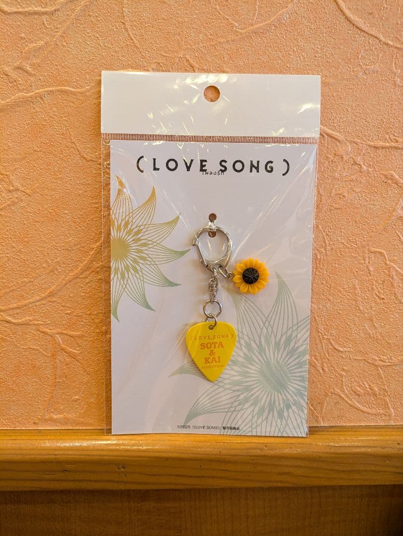 新品☆映画 『LOVE SONG』 ピックキーホルダー 向井康二 森崎ウィン