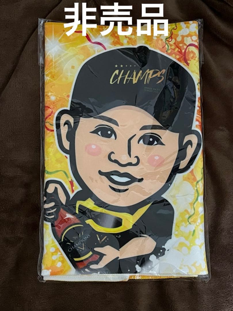 津森 宥紀 4点セット