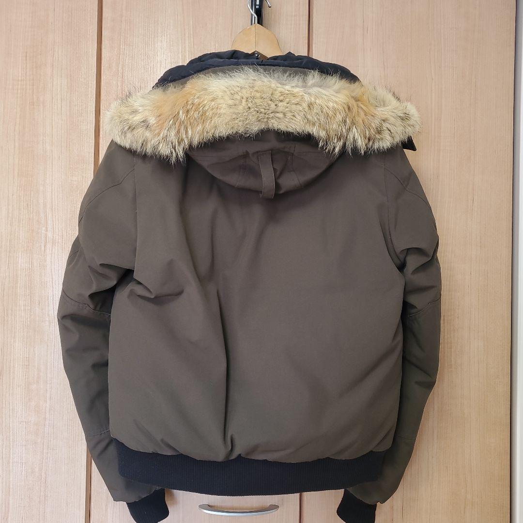 se7en®️　  ラブラドール 希少Lサイズ