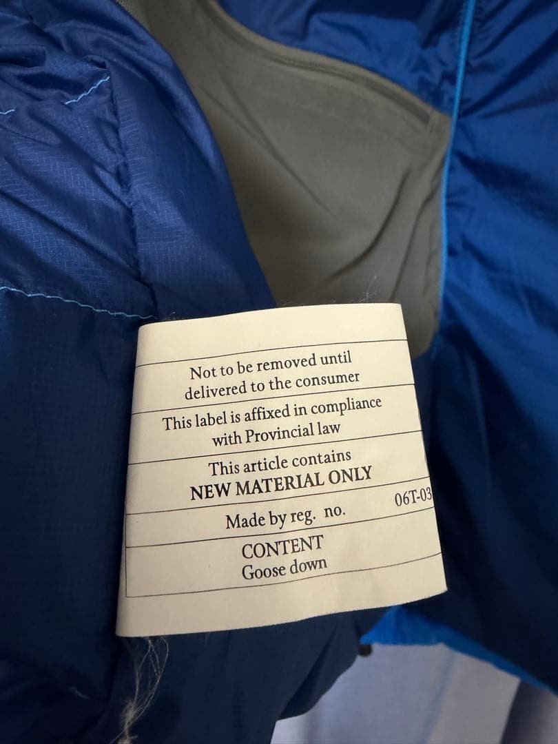 Patagonia (パタゴニア)ダウンセーター　ブルー