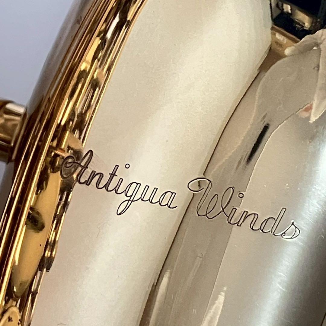 アンティグア・ウィンズ アルトサックス WW-510 ハードケース sax