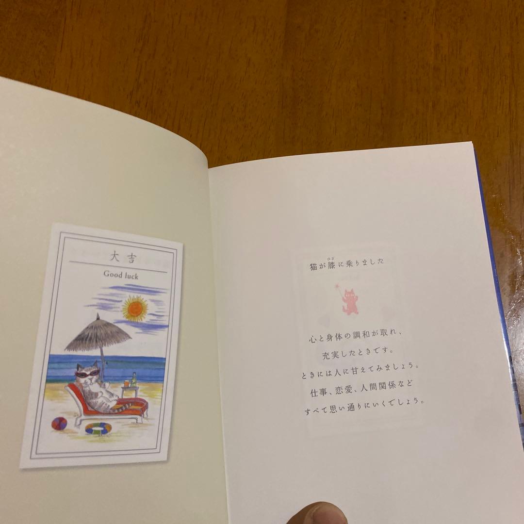 ダイアンエルソン リトグラフ 版画 85/250 猫のアート 限定品