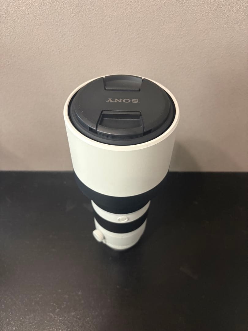 今だけセールSONY sel200-600 G OSS FE5.6-6.3