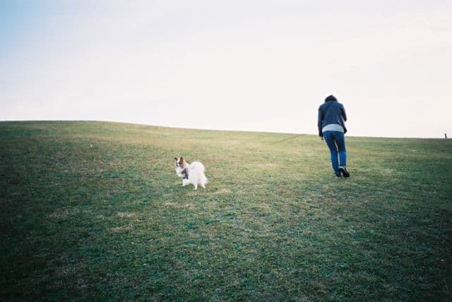 【たり様用】CONTAX TVS Ⅲ