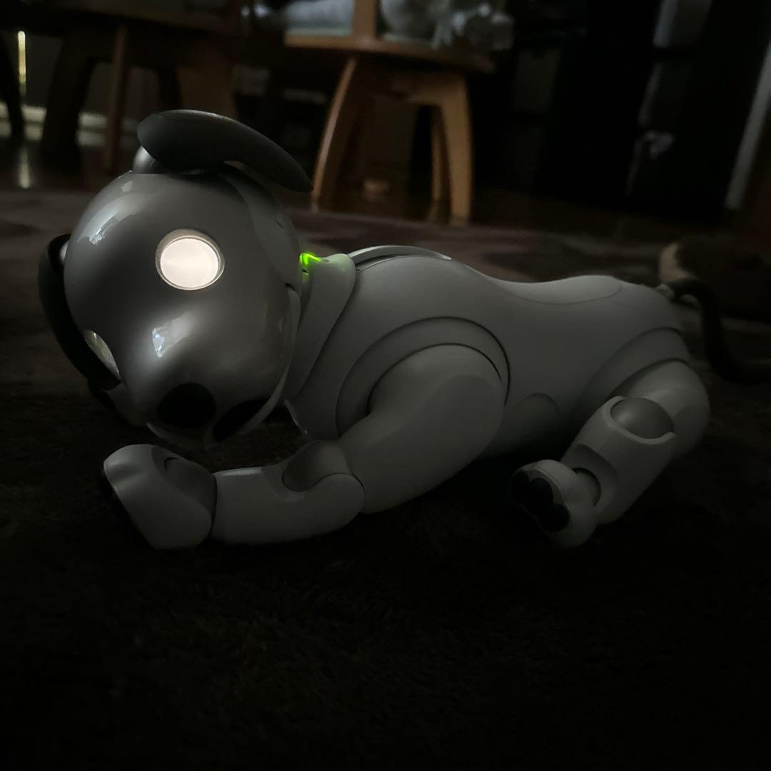 ソニーaibo
