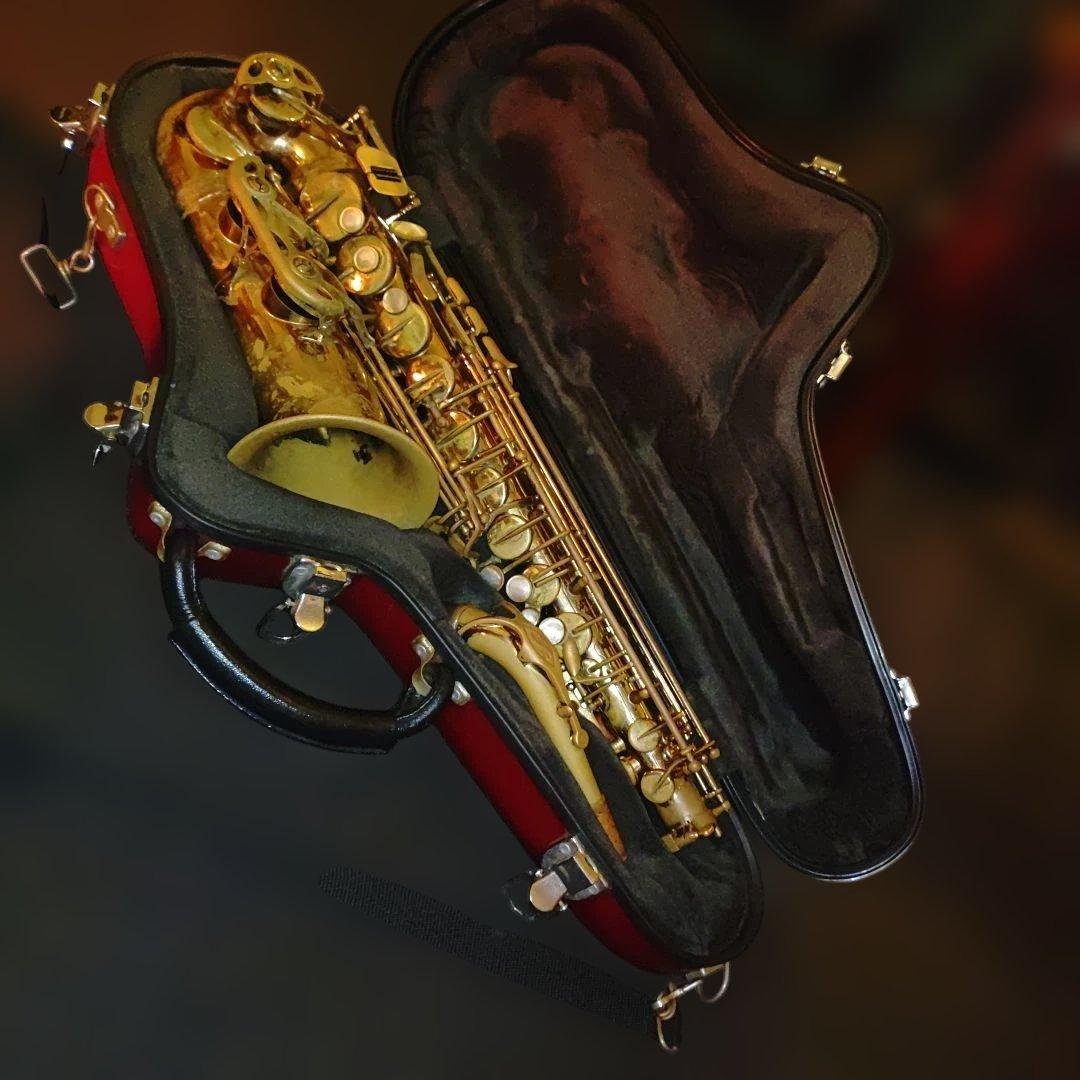 セルマー純正 Selmer アルトサックス用 ハードケース　フライトケース