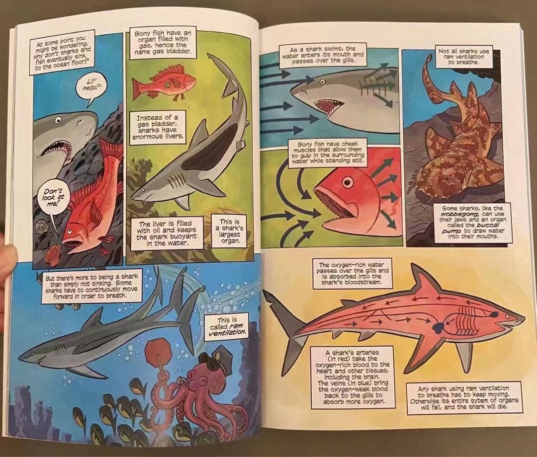 新品Science Comicsシリーズ29冊 洋書 英語絵本 漫画