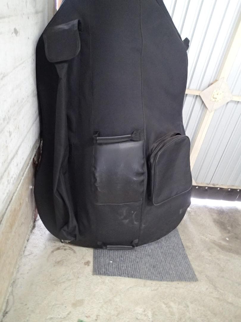 nt250411-003Z コントラバス 3/4 ケース付き REGH