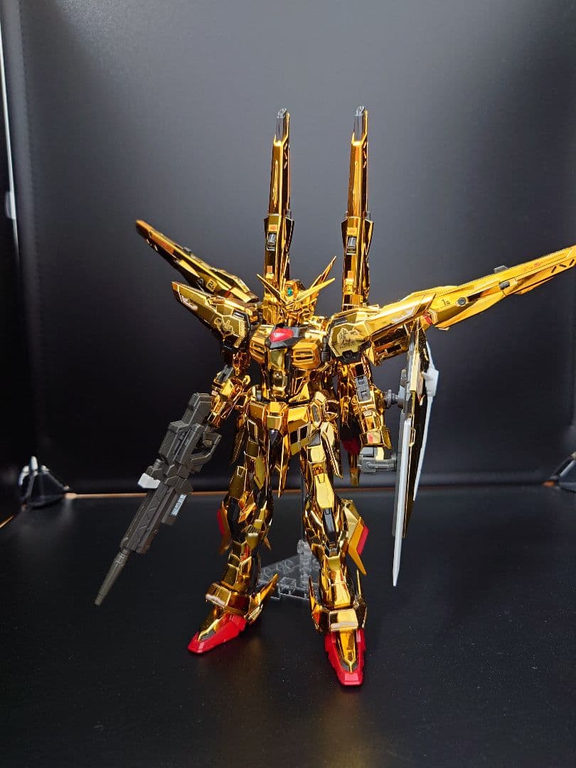 7071 kknk様専用 RG アカツキ オオワシ シラヌイ パック ゼウスシル