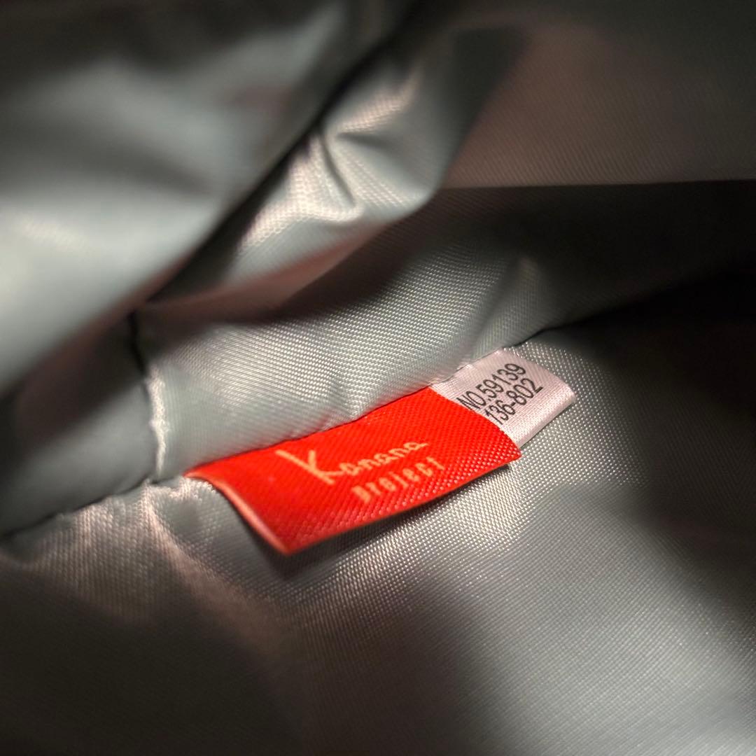 【極美品】ACE カナナプロジェクトマイトローリー キャリー　旅行　静音