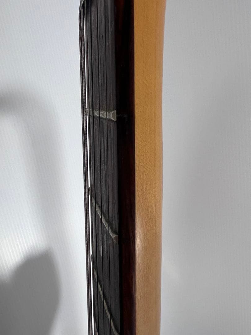 激レア 希少 フォトジェニックストラスキャスター HSH 初期型 ケース付き