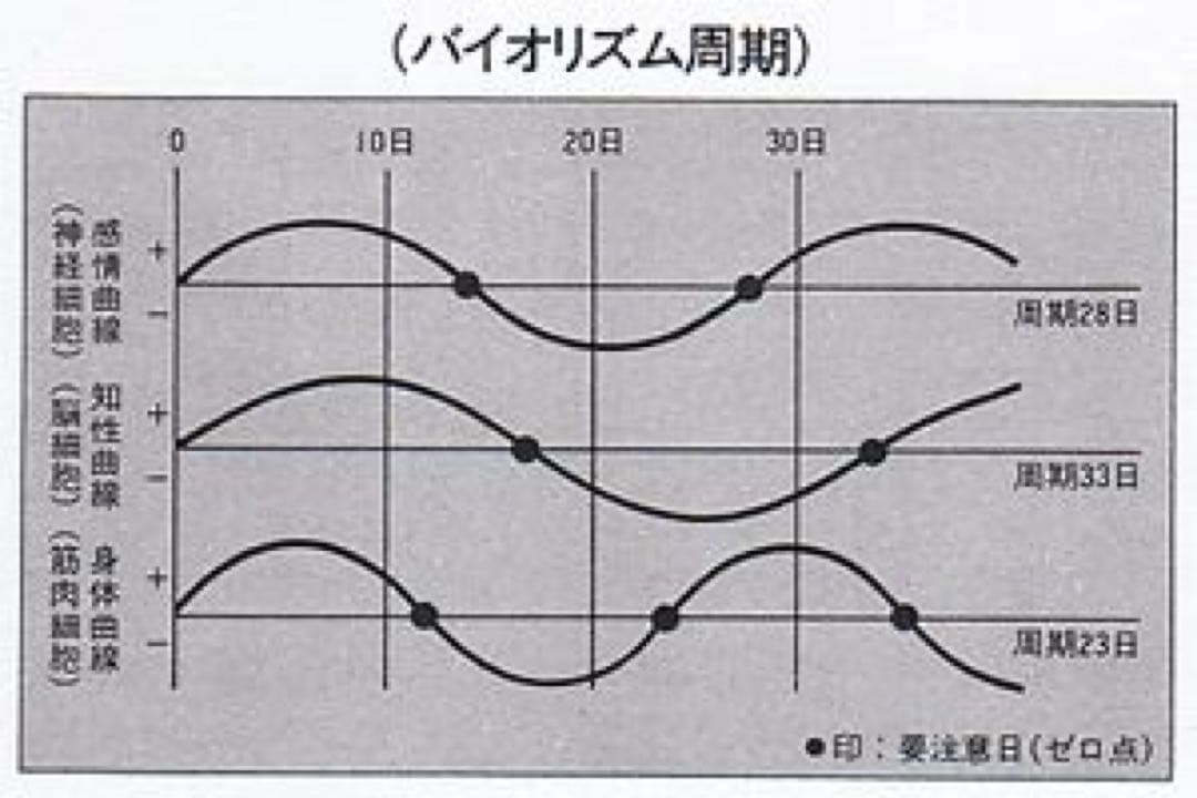 限定残り1個！】政木式バイオリズム計 赤 政木和三 占い 男女産み分け