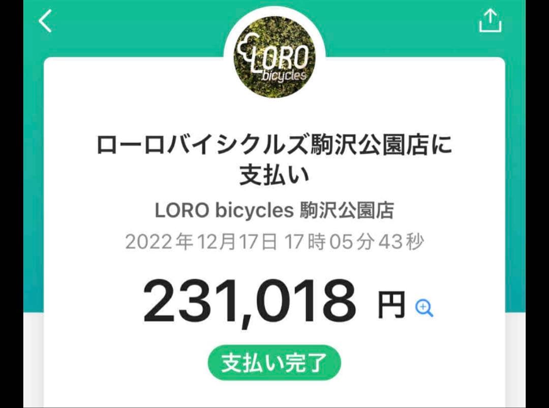 トレック　TRECK ロードバイク　DOMANE AL3 54cm