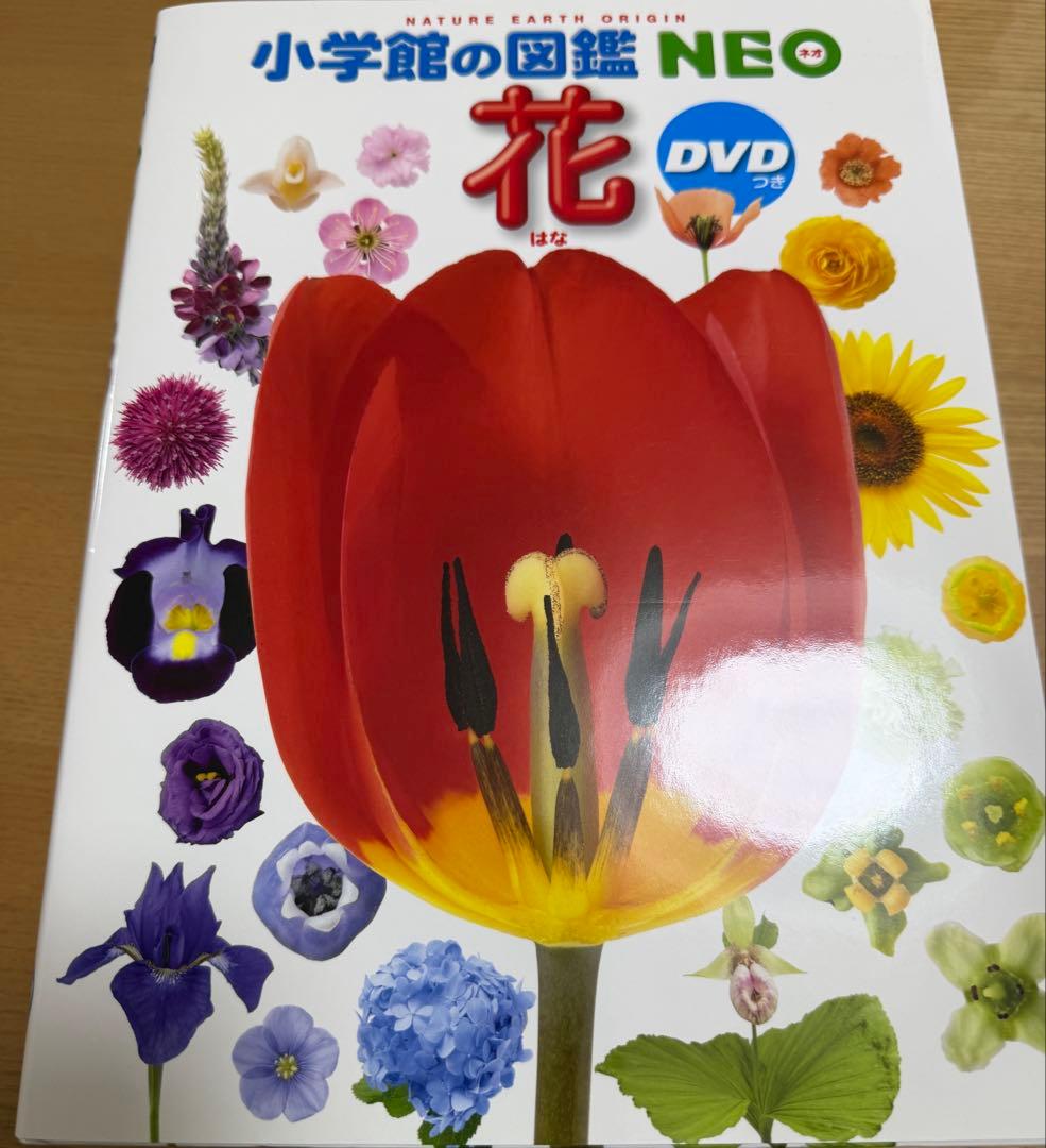 小学館の図鑑NEO 11冊セット　DVD欠品