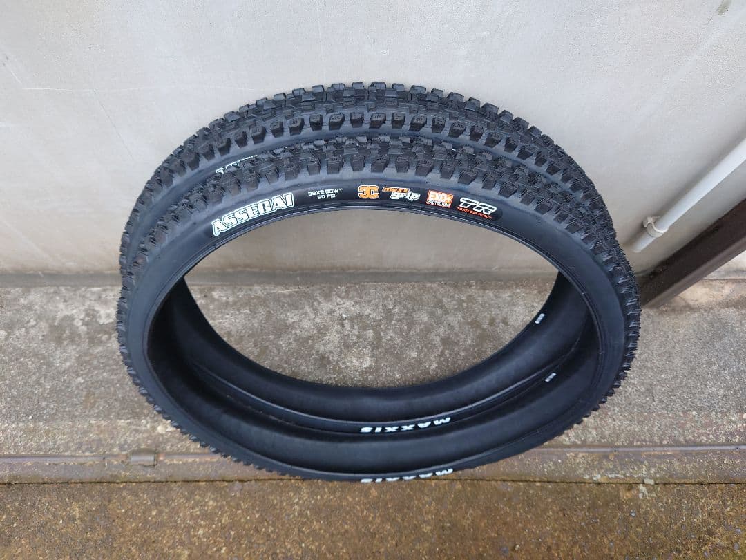 2本セット】MAXXIS アセガイ 29×2.50【エンデューロケーシング】