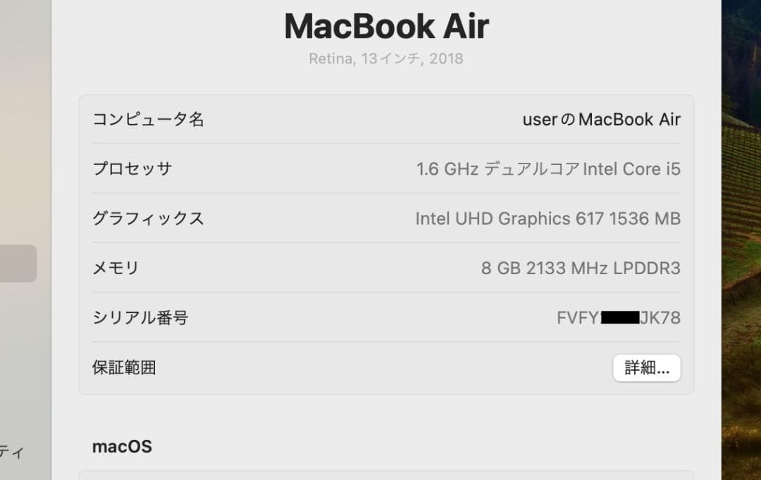 MacBook Air (Retina, 13-inch, 2018)　動作良好