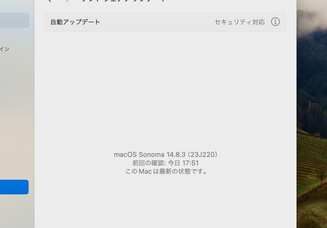 MacBook Air (Retina, 13-inch, 2018)　動作良好