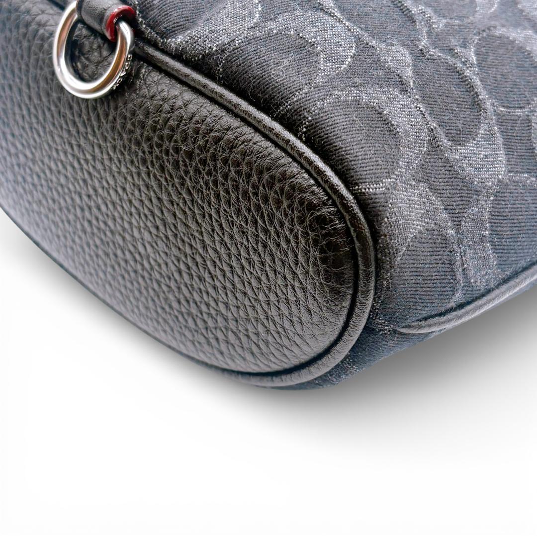 【美品✨】COACH アメリア リュック CP106 シグネチャー