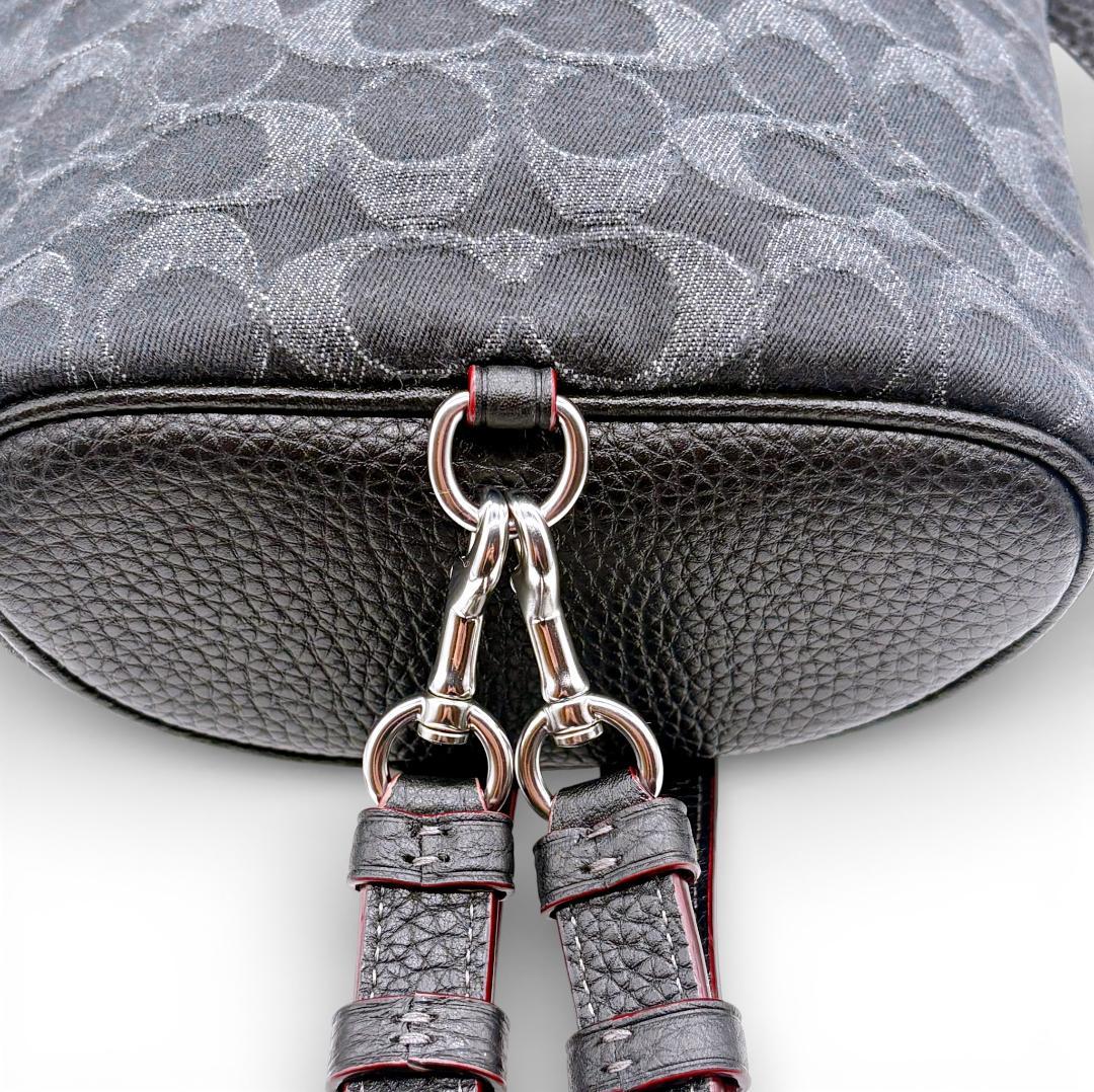 【美品✨】COACH アメリア リュック CP106 シグネチャー