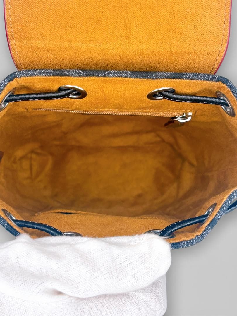 【美品✨】COACH アメリア リュック CP106 シグネチャー