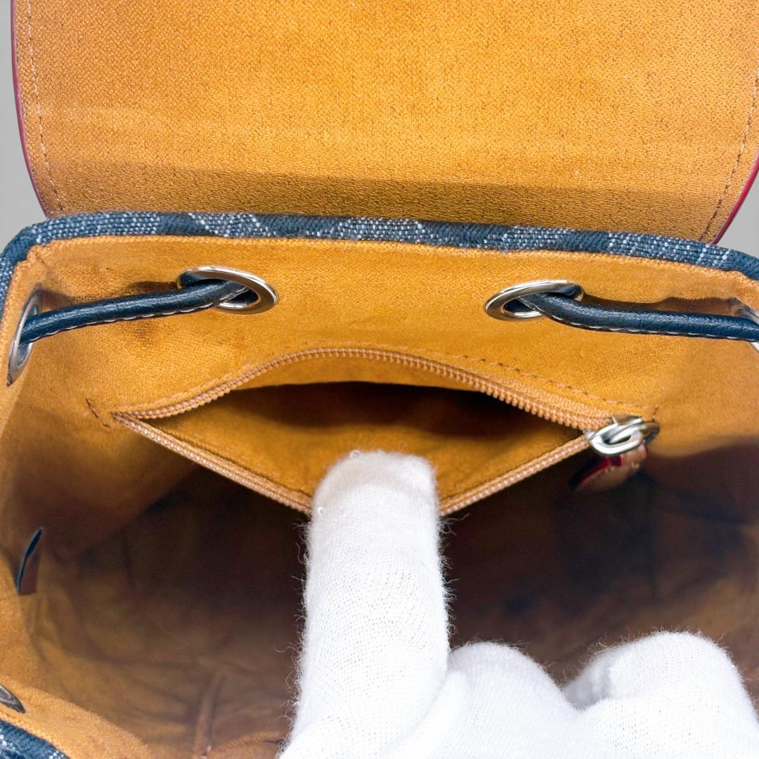 【美品✨】COACH アメリア リュック CP106 シグネチャー