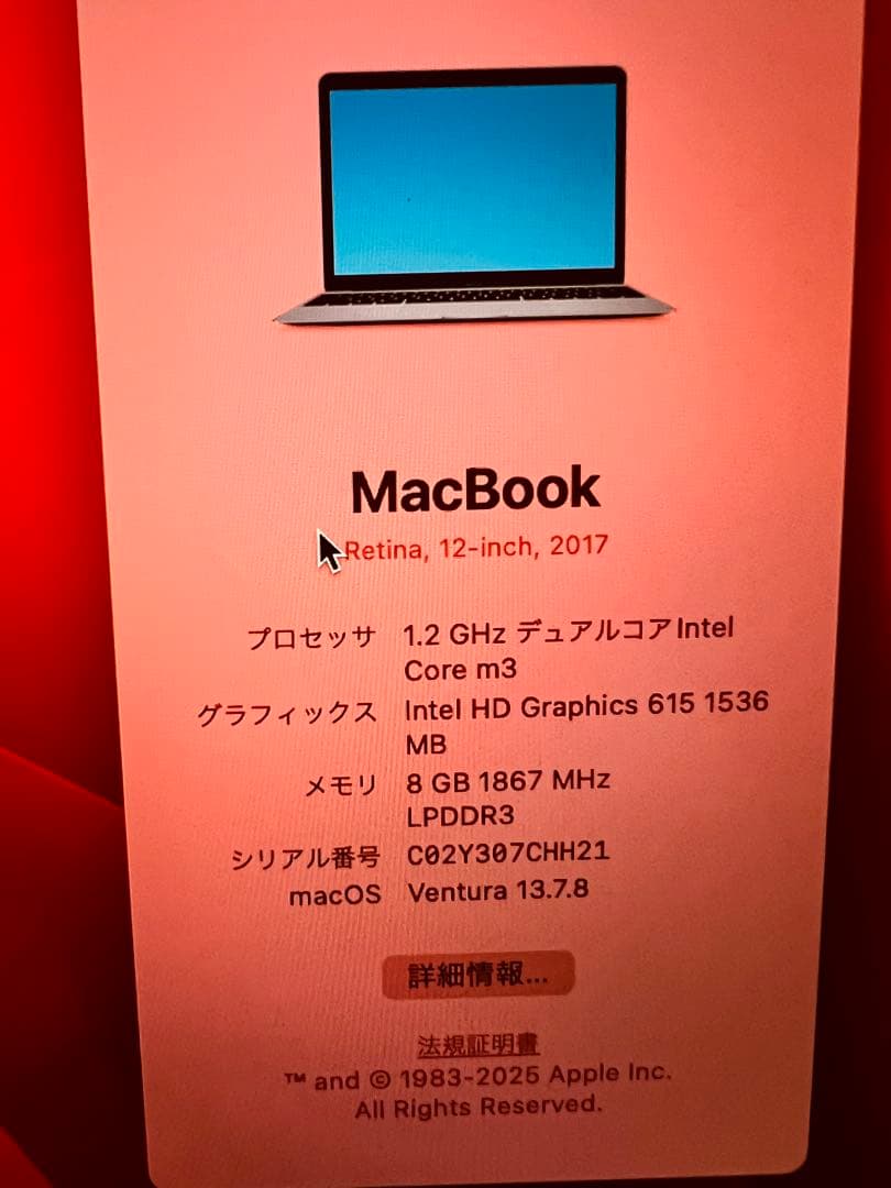 MacBook本体 2017 Apple MacBook12 8GB 256GB
