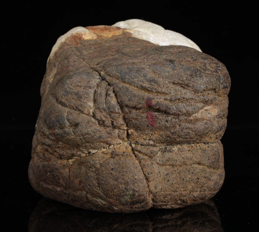 菊花石　花紋石 自然石 台座付 2.1kg 水石 置物 盆石 鑑賞石 原石 美石