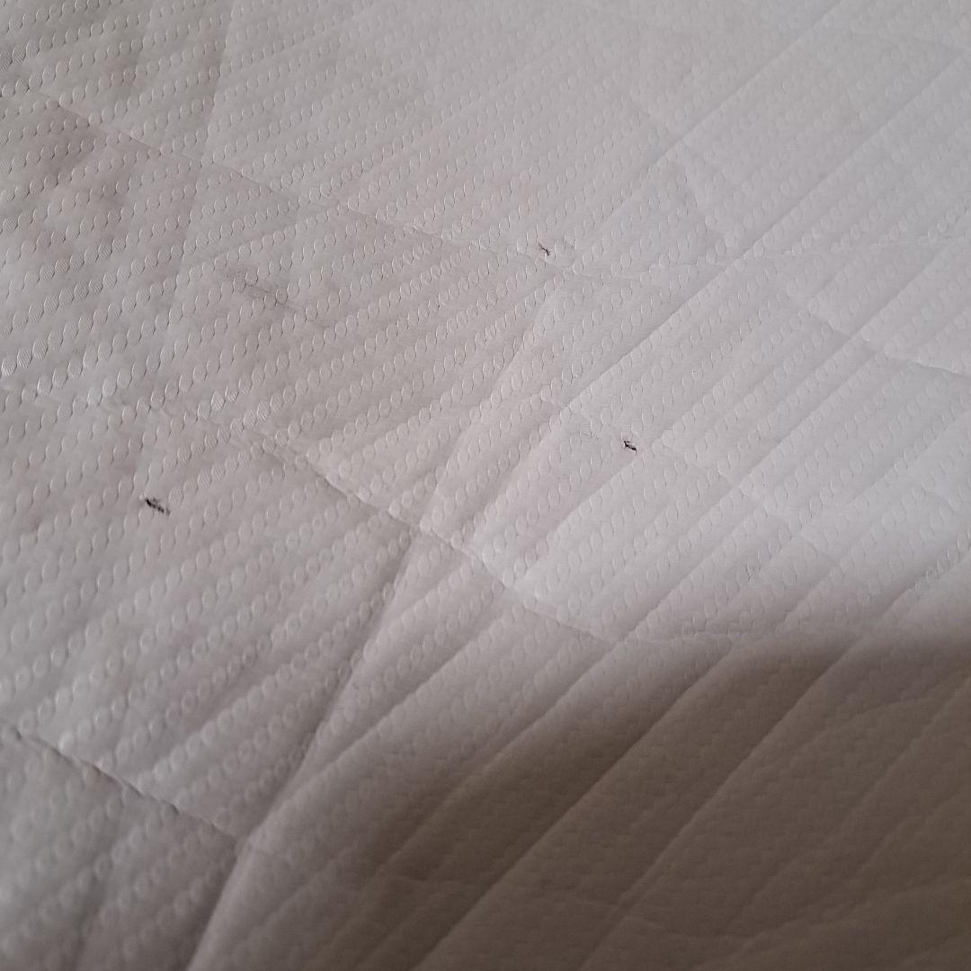 Mizuno ゴルフキャディバッグ.フード付き。 ホワイト/ネイビー。9インチ