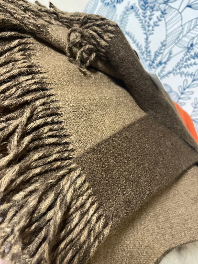 THE INOUE BROTHERSアルパカ